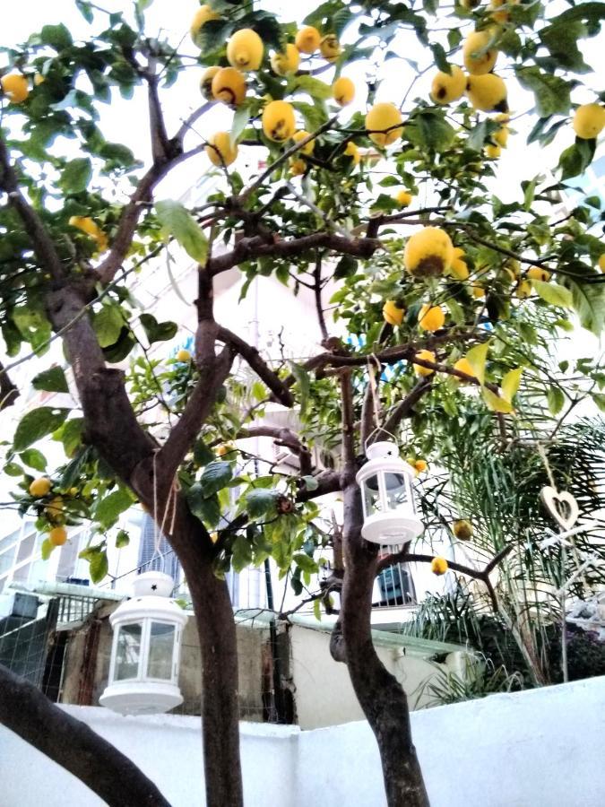 Willkommen in einem private garden Bari Exterior foto