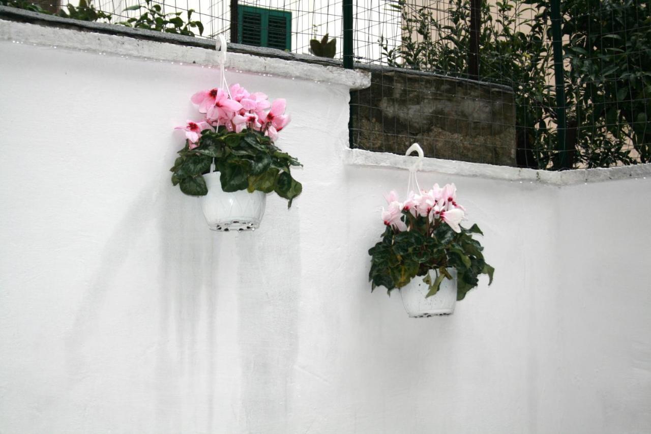 Willkommen in einem private garden Bari Exterior foto